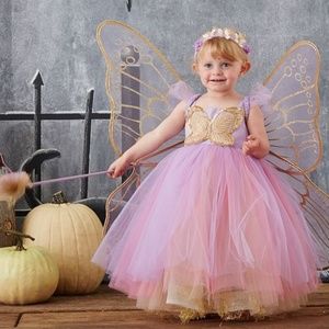 Pottery Barn Lavender Butterfly Fairy Costume 3Y